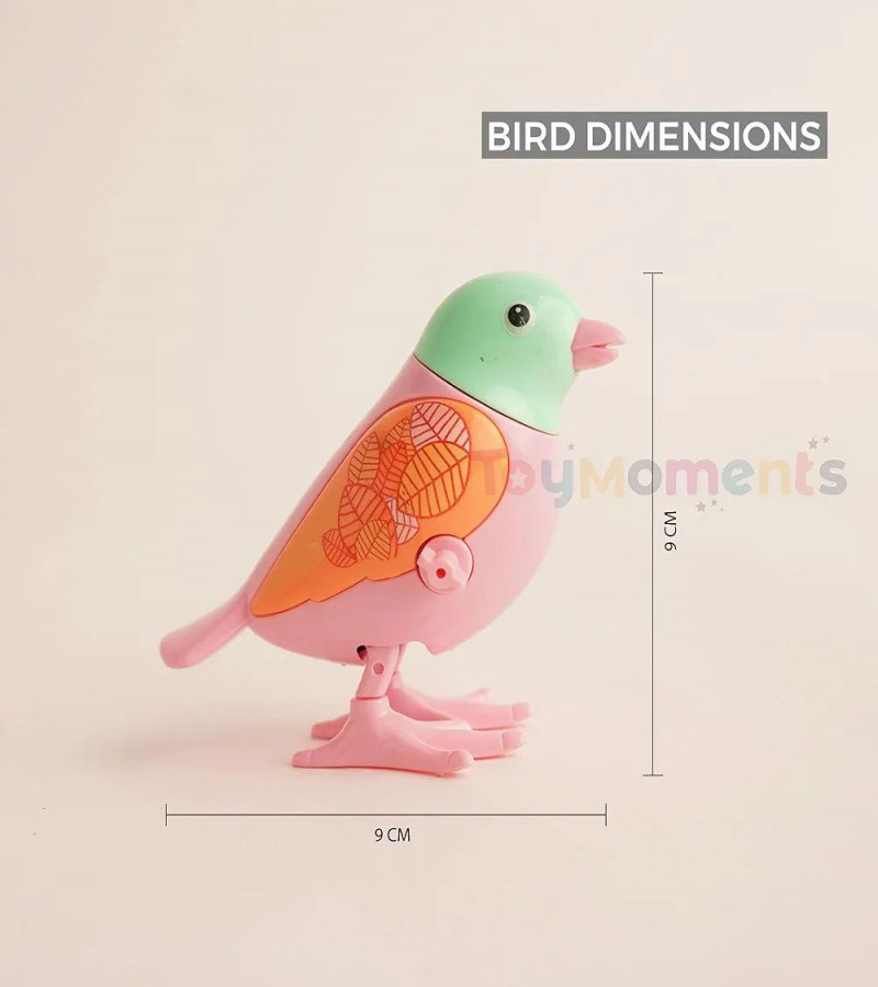 HOT DEAL NO1.Toy Funny and Colorful Key Operated Wind Up Best Toys for Kids Jumping Bird, Toys for Kids One Year Baby Girl Toys